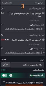 پاوربانک
